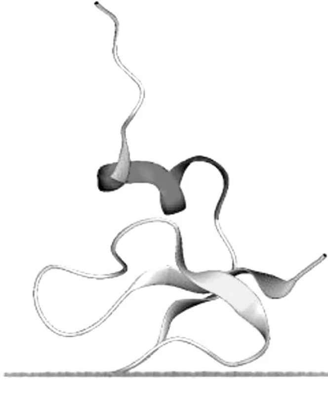 Schéma molekuly beta defensinů