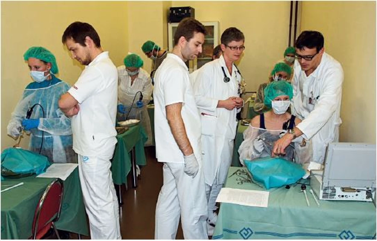 Lékaři při praktickém nácviku práce s endoskopickými endonazálními instrumenty.