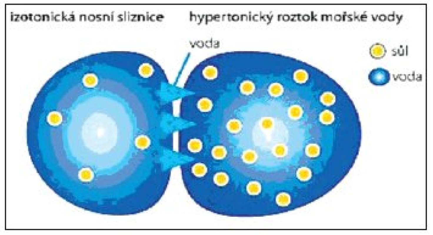 Interakce mezi izotonickou nosní sliznicí a hypertonickym roztokem.